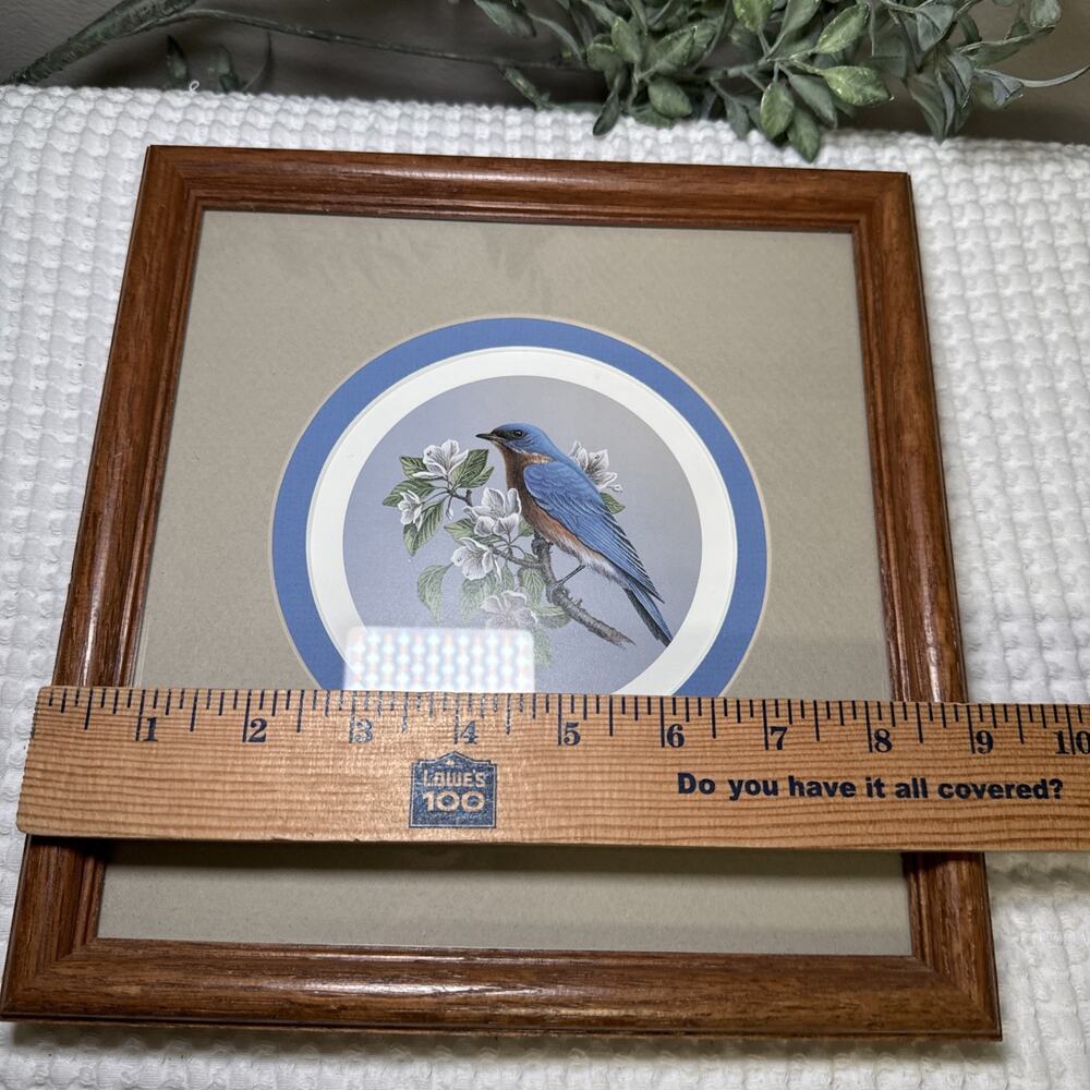 Don Breyfogle Eastern Bluebird Framed Wildlife Print 1988 9.6” x 9.4” Vintage - Picture 11 of 12